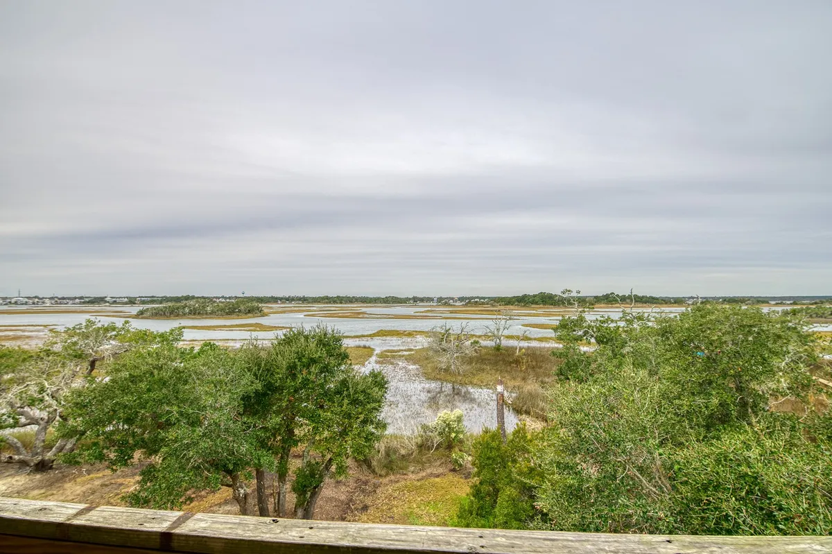 A tranquil view of distant marshland with trees in the foreground and water bodies reflecting the sky. The peaceful mood and natural setting evoke a sense of relaxation and connection with nature, suitable for outdoor play and exploration with pets.